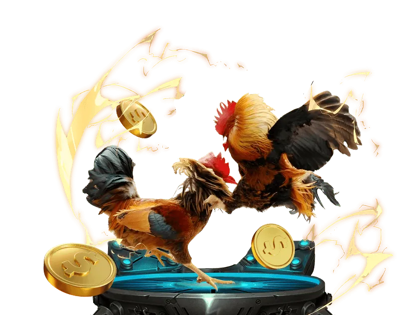 Người chơi áp dụng mẹo chơi bắn cá ZingPlay hiệu quả